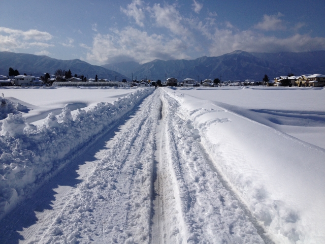 雪道